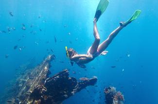 Plonger sur des épaves faciles pour plongeurs débutants : où vivre sa pr...