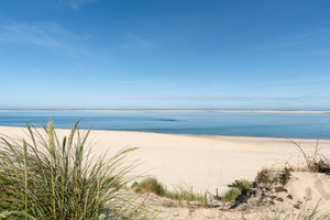 Erosion littorale à Arcachon : la plage du Petit Nice fermée trois mois, le trait de côte recule dangereusement