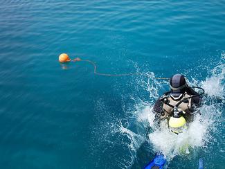 Entre liberté et responsabilité : plonger en...