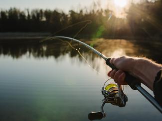 Pêche au bar à l’ouverture : bien choisir ses...