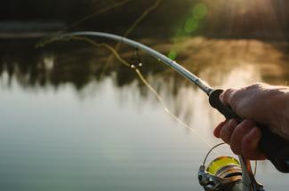 Pêche au bar à l’ouverture : bien choisir ses leurres souples pour démar...