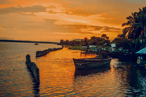 Nigeria: au festival des pêcheurs d'Argungu, un poisson de 59 kilos