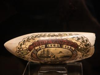L’art du scrimshaw : quand les baleiniers...