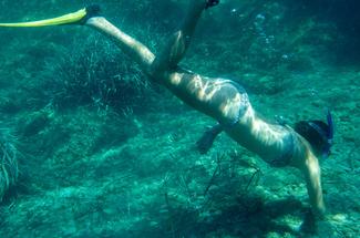 Épaves à portée de palmes : les plus beaux spots de snorkeling sur les c...