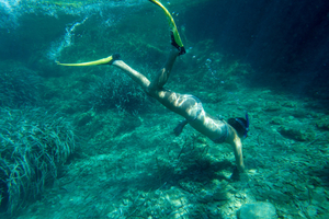 Épaves à portée de palmes : les plus beaux spots de snorkeling sur les côtes françaises