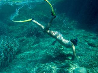 Épaves à portée de palmes : les plus beaux...