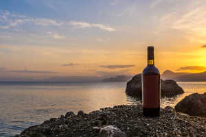 Vins de bord de mer : l’Albariño de Galice, le Vermentino de Corse et les cépages marins qui montent en 2026