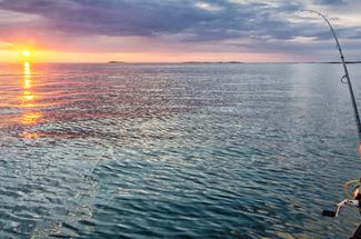 Tenya, Madai, Inchiku : 3 techniques japonaises redoutables pour la pêch...