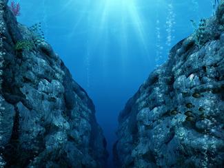 Climat, carbone, biodiversité : le rôle...