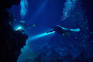 Blackwater dives : l’expérience mystique de la plongée de nuit en plein océan