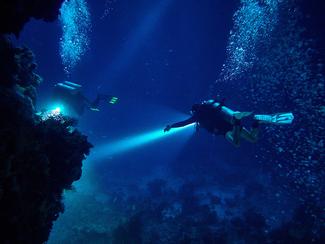 Blackwater dives : l’expérience mystique de la...