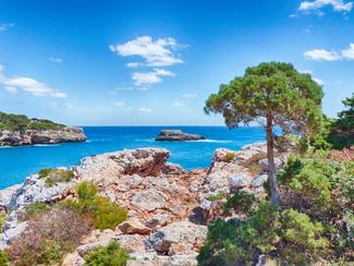 Une cité romaine oubliée refait surface après...