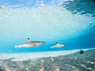 Nouvelle-Calédonie : après une attaque...