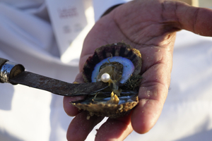 Histoire maritime : le secret des pêcheurs de perles, 2 000 ans d’apnée, de commerce et de fortunes englouties