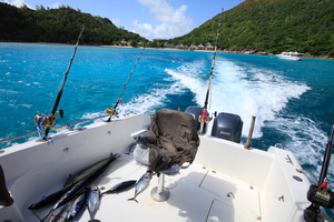 Pêche à la traîne côtière au printemps : techniques, réglages et espèces à cibler