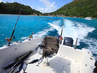 Pêche à la traîne côtière au printemps :...