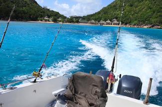 Pêche à la traîne côtière au printemps : techniques, réglages et espèces...