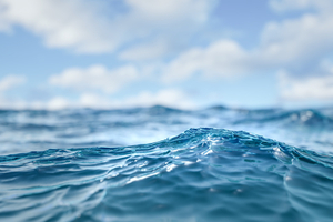 Océan Indien austral : la salinité chute à un rythme inédit, un signal fort du dérèglement climatique