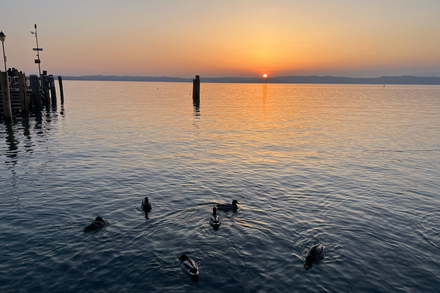 Coucher de soleil - Sirmione