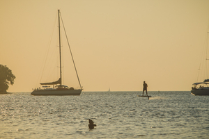 Downwind en SUP foil : parcourir des kilomètres en mer en utilisant l’énergie de la houle