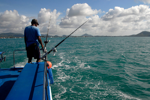 Pêche au gros en Méditerranée : quelles prises sont vraiment possibles et que dit la réglementation en 2026 ?