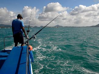 Pêche au gros en Méditerranée : quelles prises...