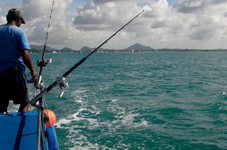 Pêche au gros en Méditerranée : quelles prises sont vraiment possibles e...