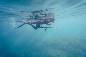La chasse sous-marine en France : réglementation, zones autorisées et contraintes réelles