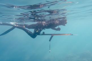 La chasse sous-marine en France : réglementation, zones autorisées et co...