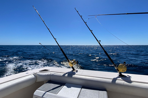 Top 10 des destinations de pêche en mer qui font rêver les passionnés