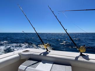 Top 10 des destinations de pêche en mer qui...