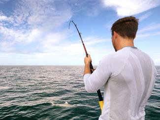 Les spots de pêche en mer les plus réputés de...