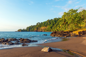 Péninsule d’Osa, Costa Rica : la nature à l’état brut entre jungle et Pacifique