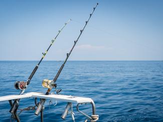 Quels poissons pêcher en avril en France ? Le...
