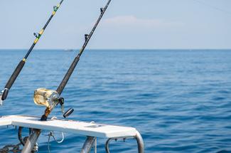Quels poissons pêcher en avril en France ? Le guide complet par zone mar...