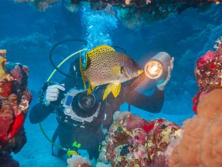 Photographie sous-marine pour débutants : quel...