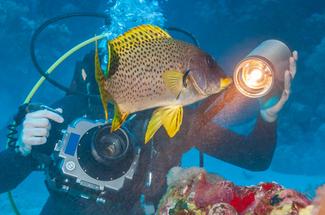 Photographie sous-marine pour débutants : quel matériel choisir et quels...