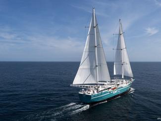 Transport cargo à la voile : où en est...