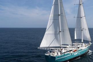 Transport cargo à la voile : où en est vraiment le secteur en 2026 ?