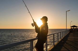 Pêche aux encornets de nuit : technique, matériel et meilleurs spots en ...