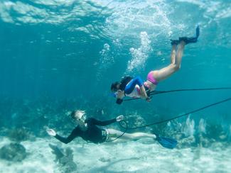 Snuba Diving : l’alternative douce à la...
