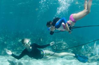 Snuba Diving : l’alternative douce à la plongée bouteille pour explorer ...