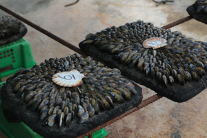 L’éclade de moules : le grand spectacle culinaire des côtes charentaises