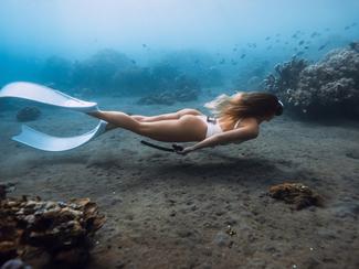 Nage en eau vive côtière avec palmes : une...