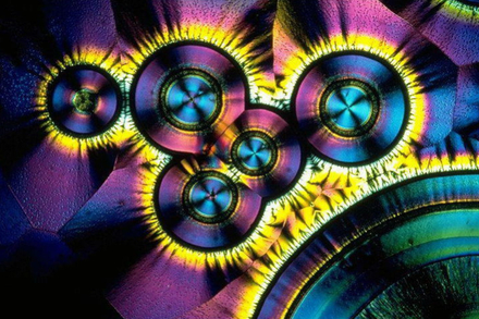 Cristaux de Vitamine C en microscopie à lumière polarisée. www.commons.wikimedia.org/wiki/File:vitaminc_cristals.