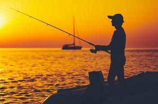 Pêche au loup en Méditerranée : une affaire de précision plus que de hasard