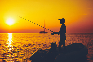 Pêche au loup en Méditerranée : une affaire de précision plus que de hasard