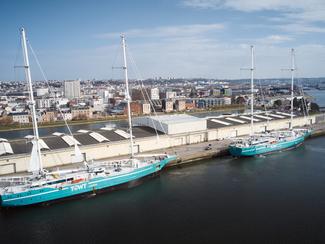 Cargos à voile : la compagnie française TOWT...