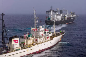 Un navire militant percute délibérément un chalutier norvégien de pêche en Antarctique