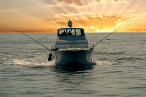 Pêche à la dorade : techniques, appâts, postes et conseils pour mieux comprendre ce poisson méfiant